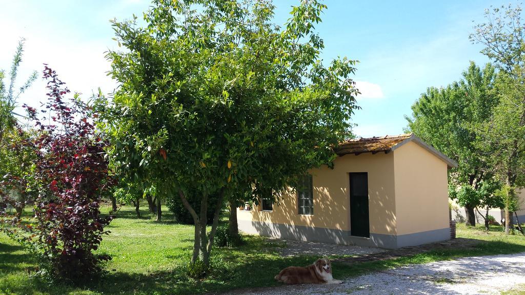 Villa Agriturismo Podere La Cascata Massa Marittima Exterior foto