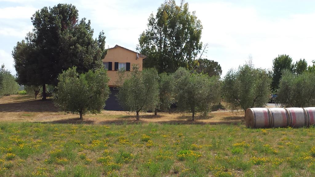 Villa Agriturismo Podere La Cascata Massa Marittima Exterior foto